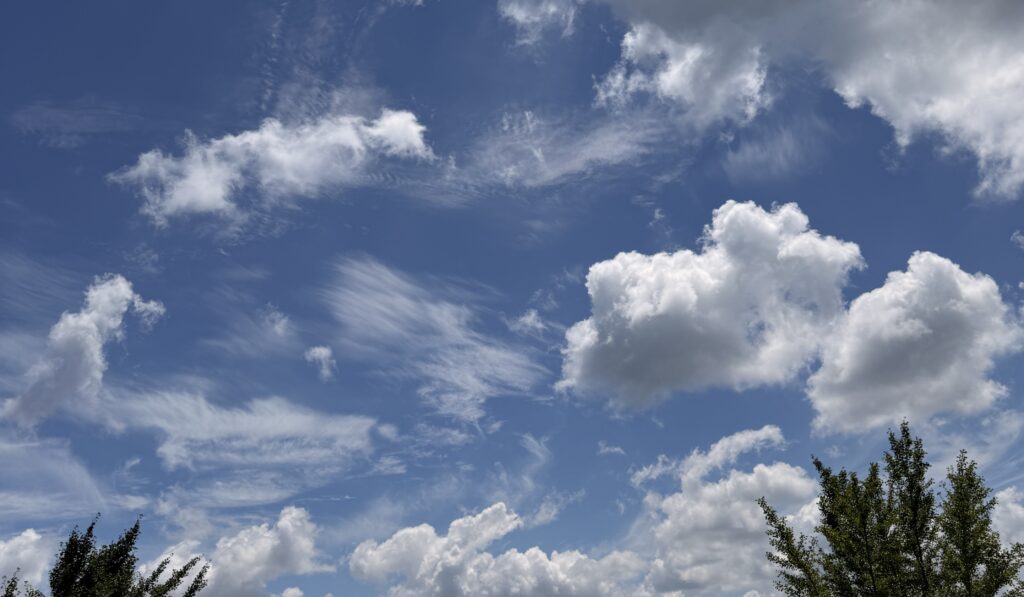 まるで空をキャンパスにして白い絵の具で描いたかのような夏の雲が浮かぶ空